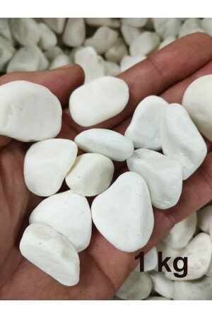 ديكورات أثاث الحجر من دولوميت الأبيض 1 كجم 15-25 مم التيار الحجر الحجر الحديقة الزخرفية حجر زهرة الخزف - Lampello