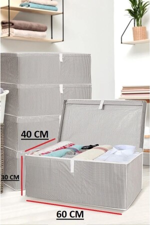 1 Box mit Deckel Aufbewahrungstasche Mega Größe 60*40*30* Mega604030 - 1