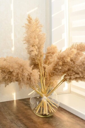 أزياء العشب من 