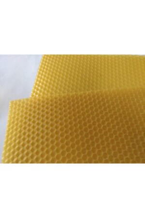 ورقة من الشمع النحل الصلبة من النحل الصلبة من النحل الصلبة من النحل الصلبة (10 كمبيوتر) - Muğla Petek