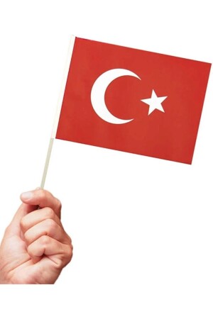 10 Stück türkische Papierflagge mit Stöcken und Stäbchen sowie einer mit Sternen und Halbmonden bedruckten Flagge - 3