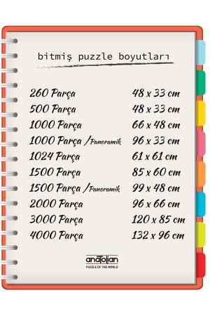 1000 Parçalık Puzzle - Kıyı Merdivenleri - Kod:1088 - 4