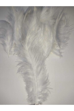 منز-رغوة أبيض 100pcs - Özcan Ambalaj