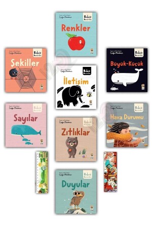 جامعة م.ن.ز-بيبك - أول مفاهيم مع قصة 1-2 - Sincap Kitap