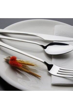 مجموعة من 12 ملعقة حلوى من البلاتين DNC003 - dincel çelik