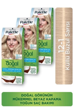 منز-الوان الطبيعي الدائم لون شعر 12-1 رمادية جليشيرية شقراء. HNKL. 2514 - Palette