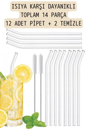 12'lı Cam Pipet Termosilikat (ısıya Dayanıklı) Ve 2 Adet Pipet Temizleme Fırçası 1. Kalite - 2