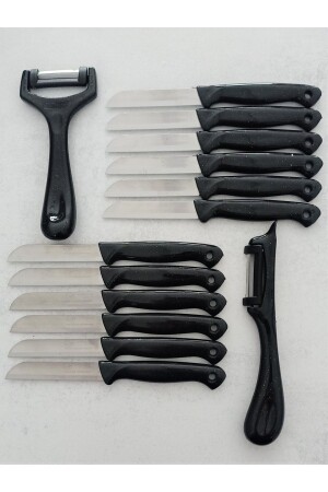 مجموعة من 14 سكين لقطع الفاكهة والخضروات و 2 طلاء ، سوداء - Solingen