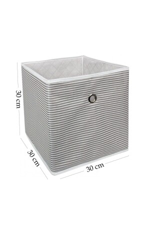 2 Adet Çok Amaçlı Raf Organizer Saklama Kutusu 30 X 30 X 3 8771-G2 - ALAS