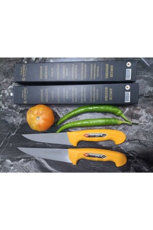 مجموعة من 2 سكاكين للجزار - Solingen Vanadium