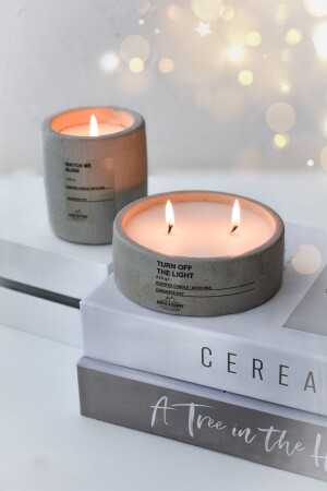 منز-سدي دخان اللون المحيط شمعة صويا رائحة في وعاء خرساني من 2 مجموعة شمعة زينة نباتية - ersustore