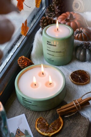 مجموعة من 2 شموع صويا ذات رائحة ليفندرا في وعاء خرساني أخضر - Ersustore