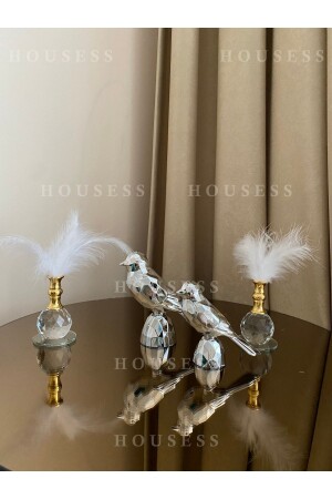 مجموعة مزينة من طيور و 2 أزرار زينة واحدة - Housess