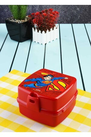 2-lagige Lunchbox mit 4 Fächern, Löffel und Gabel - 2