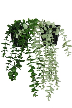 مجموعة زهرة اصطناعية من 2 ميني يوكاليبتوس - Lilac Home