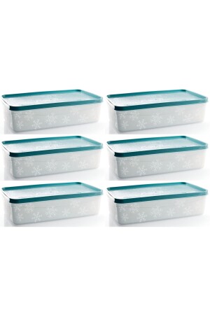 2 Liter türkisfarbene Tiefkühl-Aufbewahrungsbehälter, 6er-Set – Aufbewahrungslösung für die Küche mit luftdichtem Deckel M6-1031 - 1