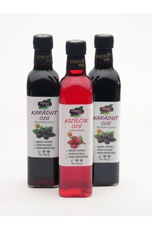 2 schwarze Maulbeeren 700 g. & Cranberry-Extrakt 700 gr. - 1