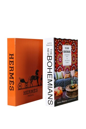 2-teilige dekorative Bücherbox von Hermes/Bohems iray03 - 2