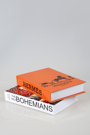 2-teilige dekorative Bücherbox von Hermes/Bohems iray03 - 4