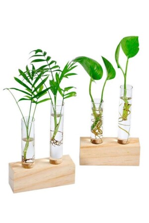 2-teilige Glas-Minivase, Blumentopf, Röhrenvase mit Holzständer - 2