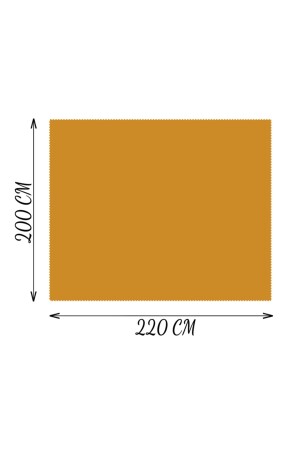 200 x 220 cm große Plüsch-TV-Decke mit Pompon (100 % lokal) tgc30112039 - 7