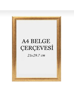 21x30 Fotoğraf Resim Poster Sertifika Çerçevesi - Serita