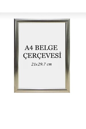 21x30 Fotoğraf Resim Poster Sertifika Çerçevesi - Serita