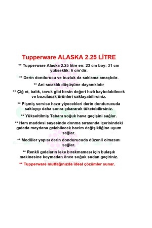 2,25 Lt. Lila Alaska Freezer 1990 - 4