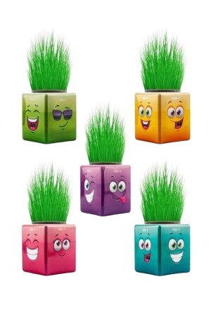 24 Stück Grass Man Cube Buntes neues Produkt KP00001 - 3