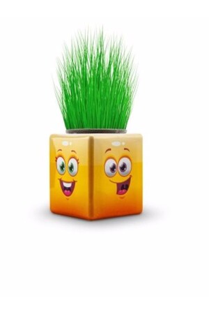 24 Stück Grass Man Cube Buntes neues Produkt KP00001 - 2