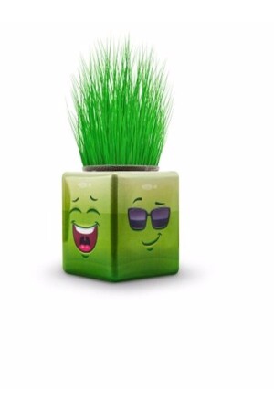 24 Stück Grass Man Cube Buntes neues Produkt KP00001 - 3