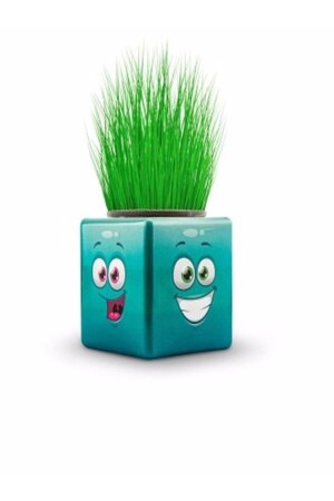 24 Stück Grass Man Cube Buntes neues Produkt KP00001 - 4