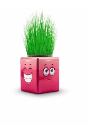 24 Stück Grass Man Cube Buntes neues Produkt KP00001 - 5