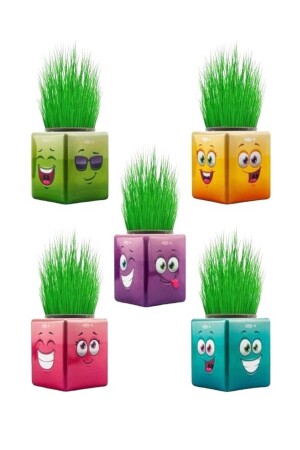 24 Stück Grass Man Cube Buntes neues Produkt KP00001 - 1