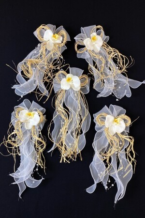 أوركيدات أوركيدات بيضاء - العروس العريس العريس العريس العروس العروسية العروسية العروسية العروسية العروسية العروسية العروسية العروسية - Zeymerade