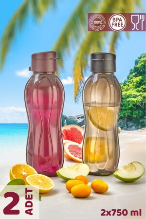 2er-Pack Eco Bottle Trinkflasche – Praktische Deckelflasche 2x 750 ml Schwarz – Lila - 1