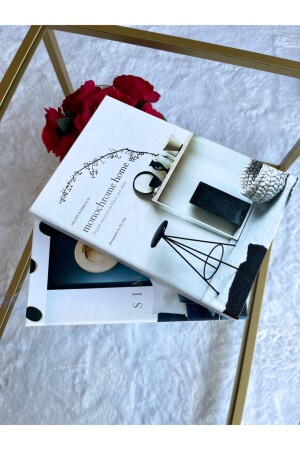 2er-Pack schlichte/monochrome dekorative Bücherbox iray03 - irayhomedecor