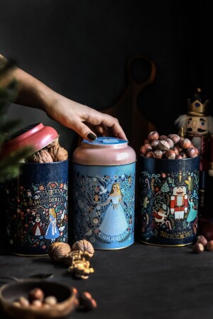 مجموعة من 3 حاويات تخزين معدنيات 10 5 سم حاوية الطعام مجموعة من حاويات الطعام، قصص ERB04U8 - Evle