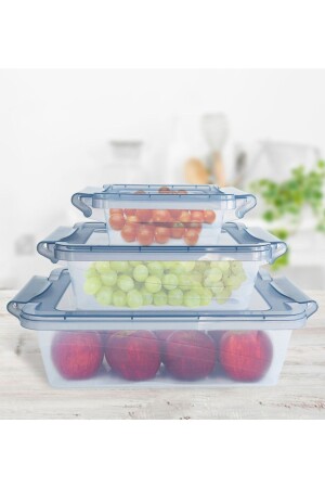 مجموعة من 3 حاويات تخزين قابلة للتغلق مجموعة من الطعام للمنزلات (2 LT - 1 LT - 0.40 LT) RH-314 - Dükkanönü