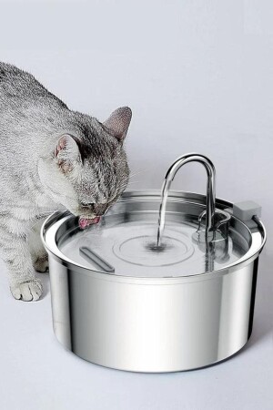 3. Automatischer Wasserspender aus Edelstahl, 2 l, für Katzen, Hunde, Trinkbrunnen, Wasserspender mit leiser Pumpe - 1