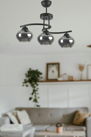 غرفة المعيشة الزخرفية الحديثة من فوجي - المطبخ - غرفة النوم الزجاج الأسود اللون 3 قطع الشنارة - Modavize