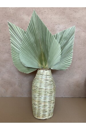 منز-ويكر الزهرة الديكورية الخياطة يدويًا و 3 صدمة طبيعية - Pampastasarim