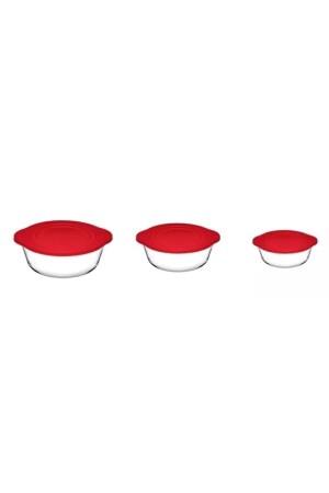 3 Stück Pyrex-Aufbewahrungsbehälter aus Kunststoff mit Deckel 003oa 004oa 005oa Fma04598 Fma04362 Fma04363 145 1109106-3 - 4