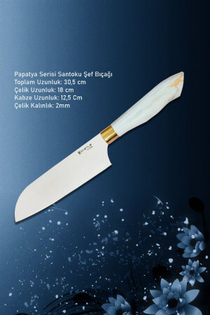 3-teiliges Küchenmesserset der Papatya-Serie (Santaku – Nakiri – Pointed Chef) ptcs02 - 5