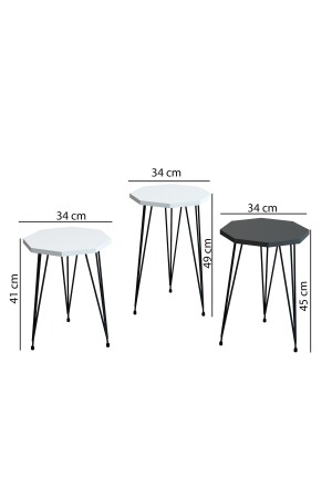 3-teiliges Satz-Couchtisch- und Couchtisch-Set, achteckiges Couchtisch-Set, Drahtbein-Metall-Couchtisch-Set, ZigonOrtac - 6