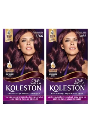3-66 Kit Patlıcan Moru Saç Boyası 2’li 2WKK3-66 - Wella
