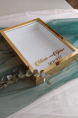 30 x 40 cm goldfarbener Plexiglas-beschichteter LED-Modell-Design-Rose-Box-Memory-Rahmen! - 1