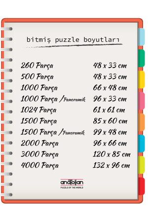 3000 Parçalık Puzzle - Dünya Anıtları - Kod:4916 ANT4916 - 5