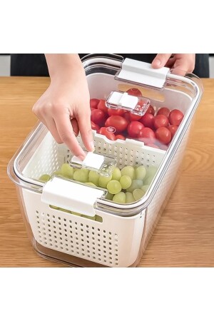 3'lü Set Içi Süzgeçli Organizer Buzdolabı Düzenleyici Ve Taze Ürün Saklama Kapları (2,5LT,5LT,9LT) SK101 - 2