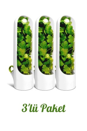 3'lü - Yeşillik Saklama Kabı - Herb Keeper HS-0575 - 1